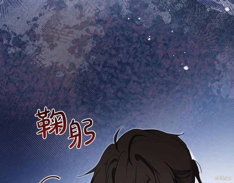 第 224 页