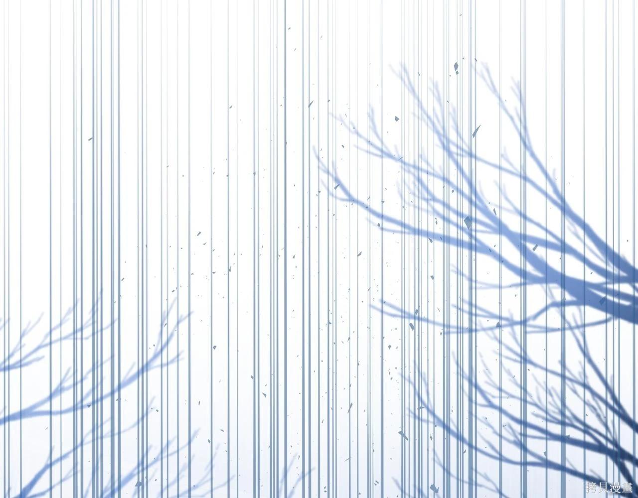 第 204 页