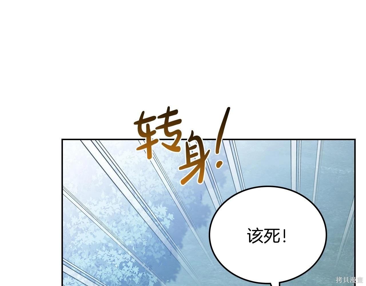 第 205 页