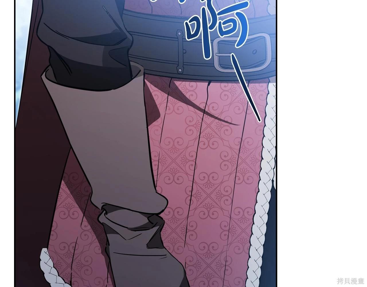 第 219 页