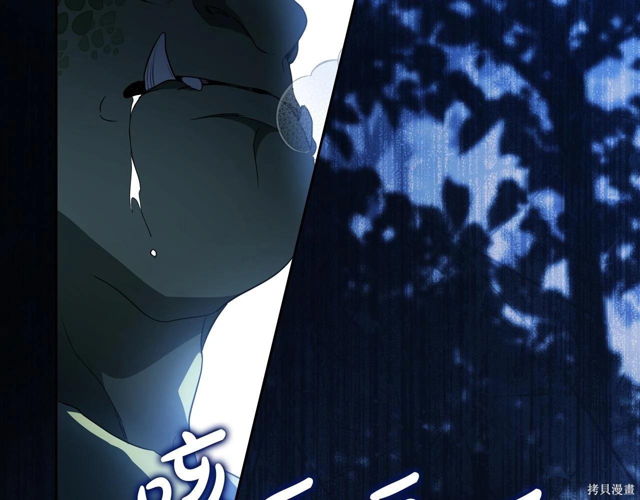 第 202 页
