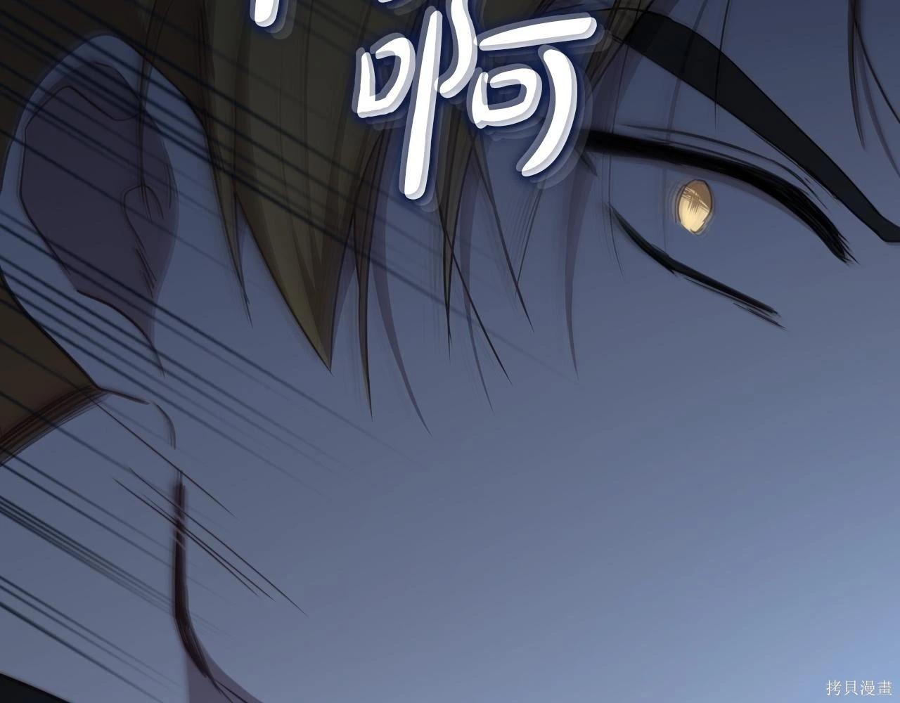 第 213 页