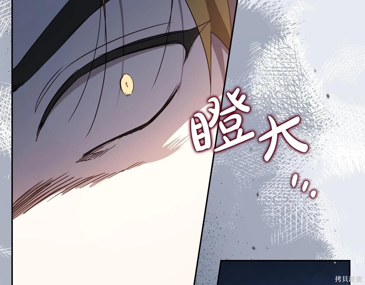 第 213 页