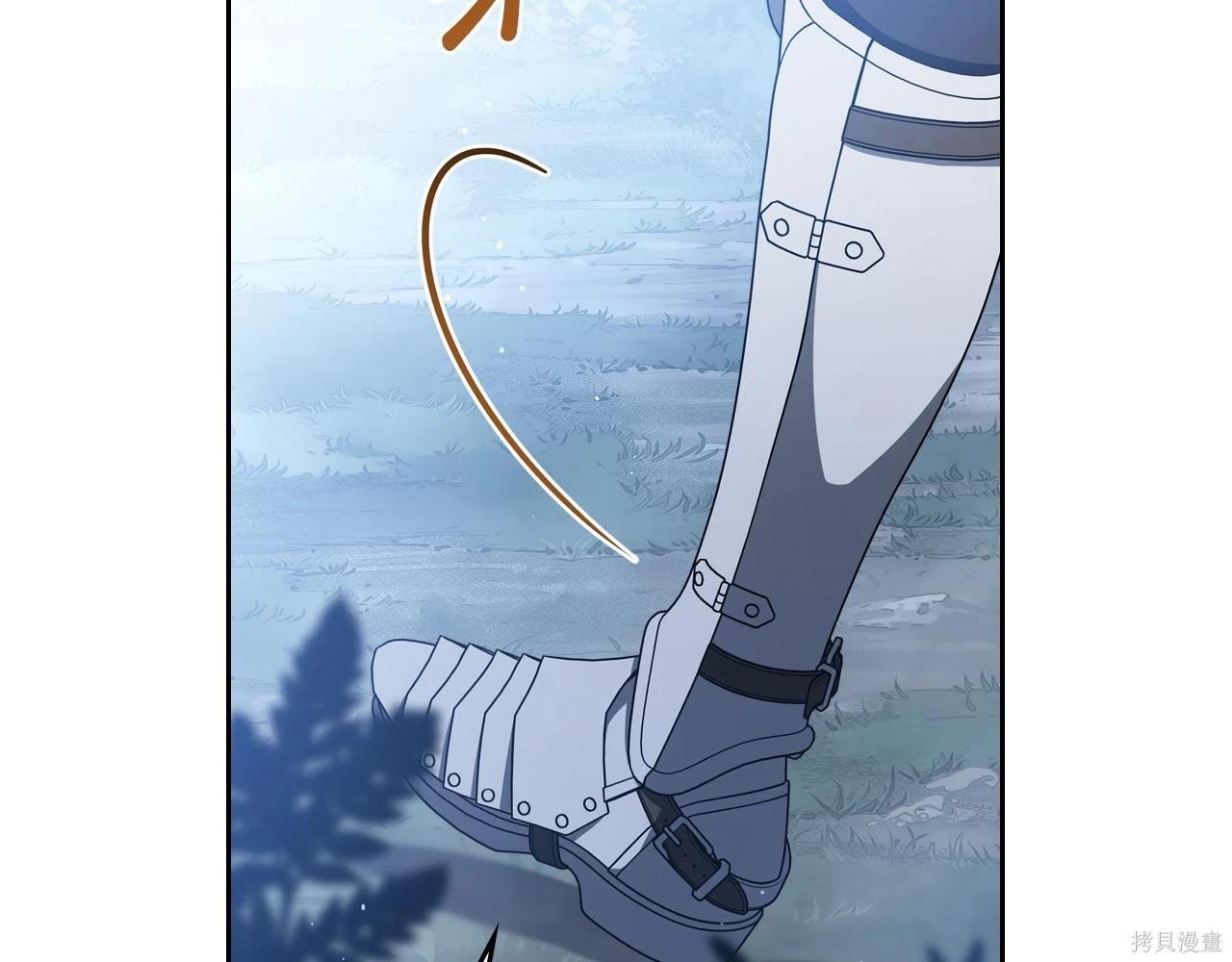 第 217 页