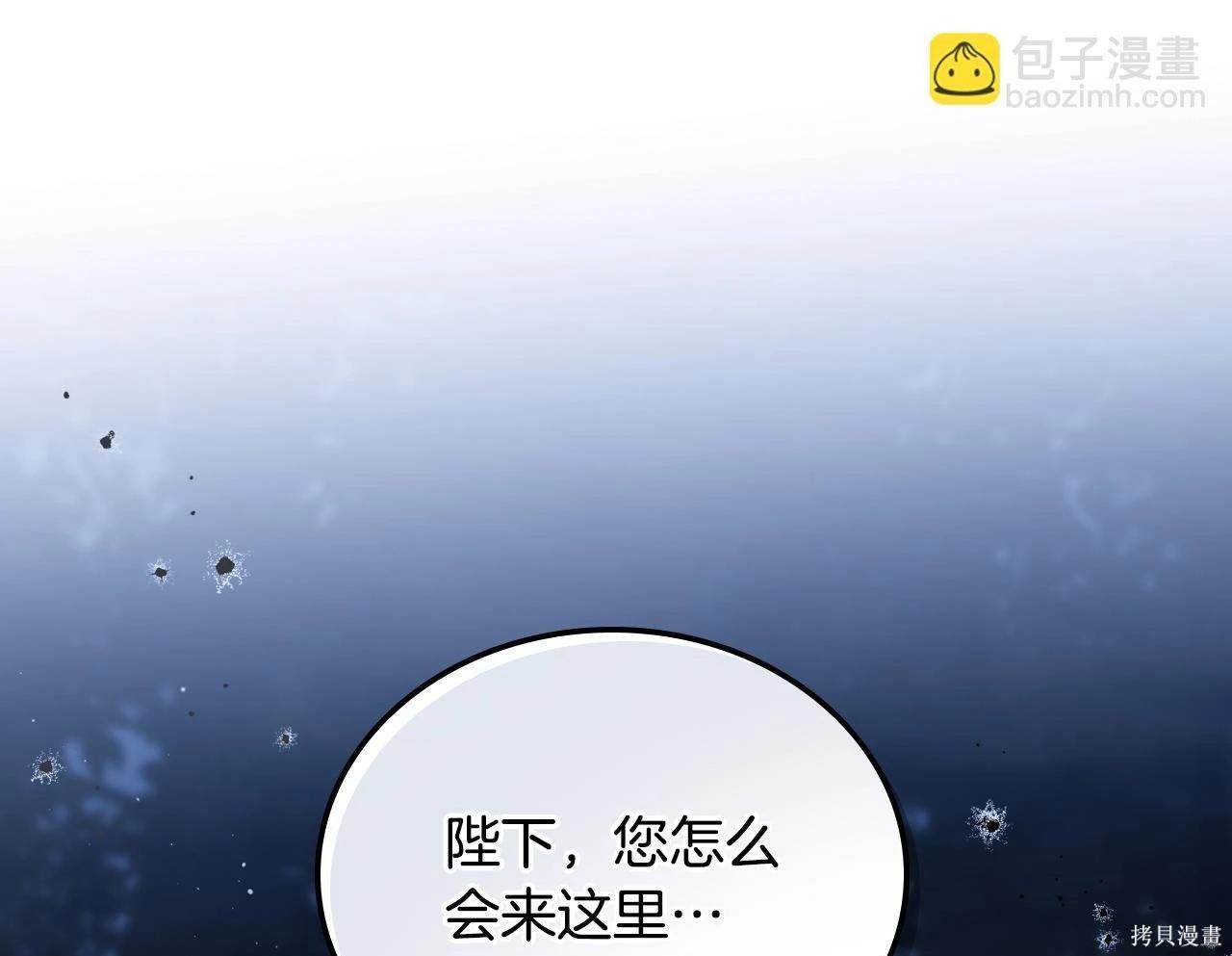 第 96 页