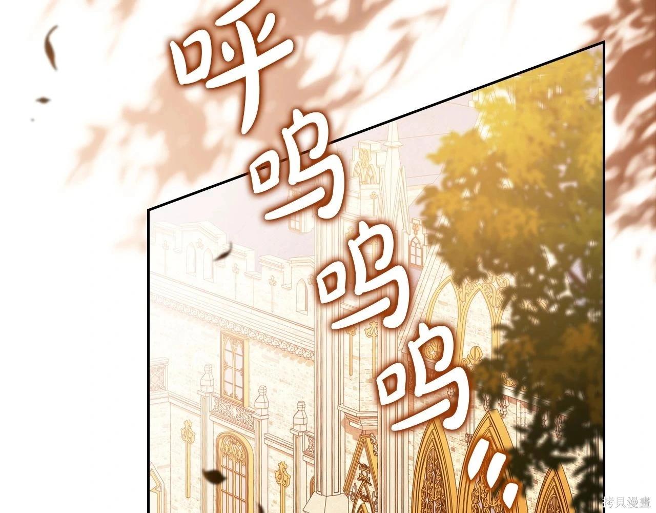 第 229 页