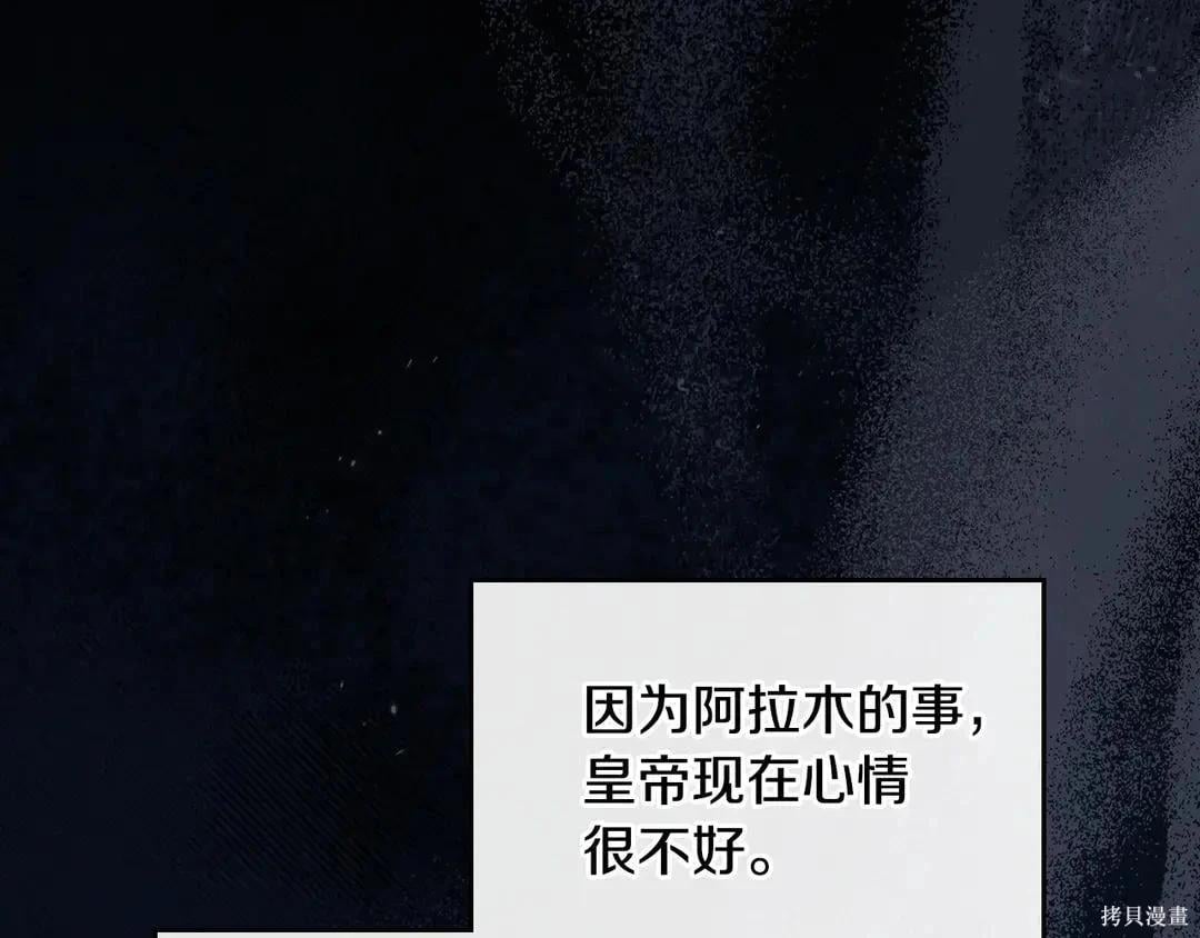 第 96 页
