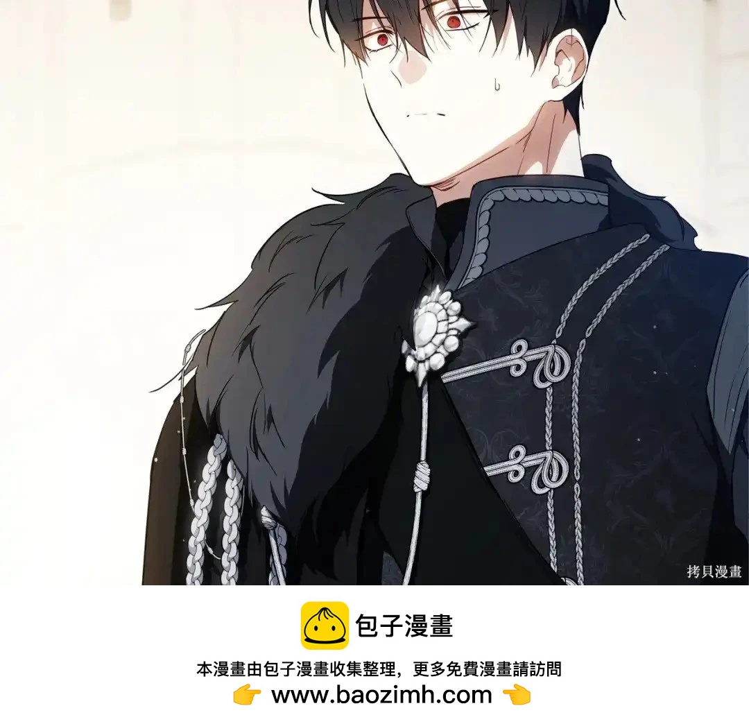 第 100 页