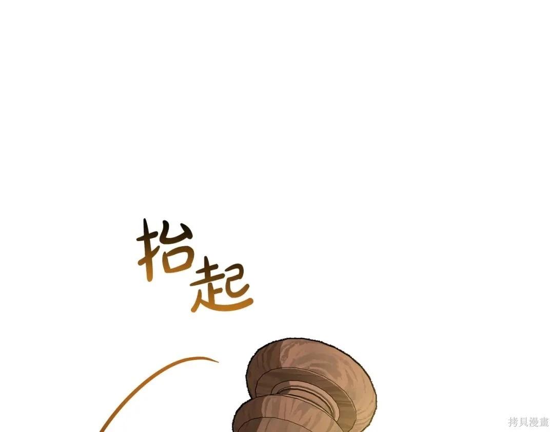 第 245 页