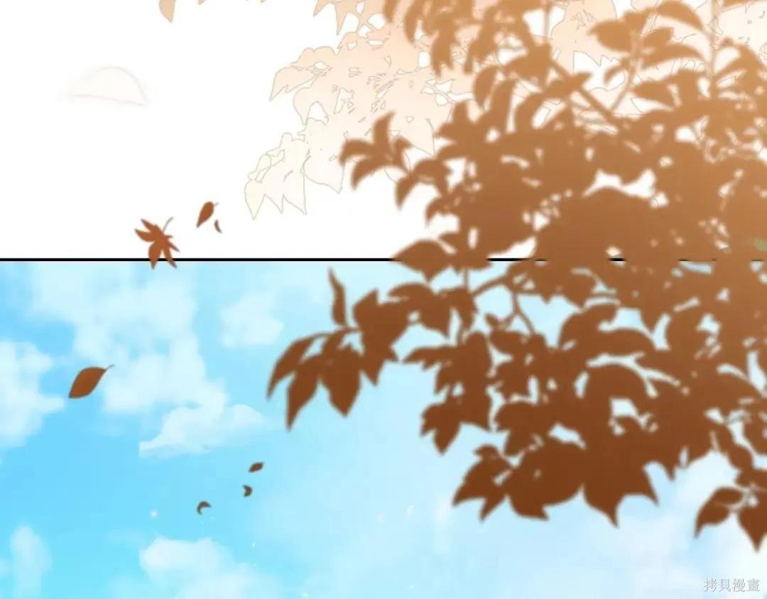 第 163 页