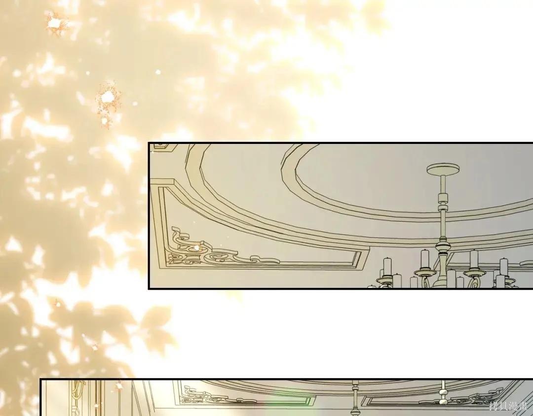 第 206 页