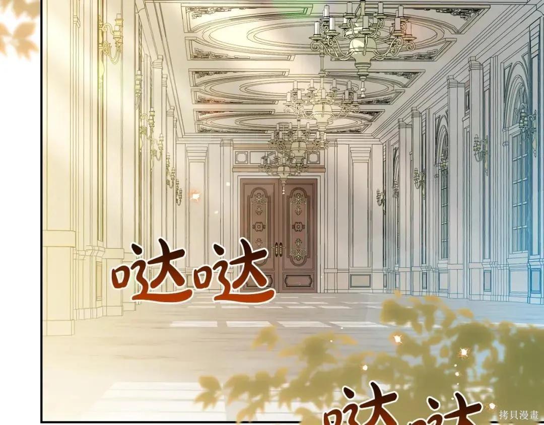 第 207 页