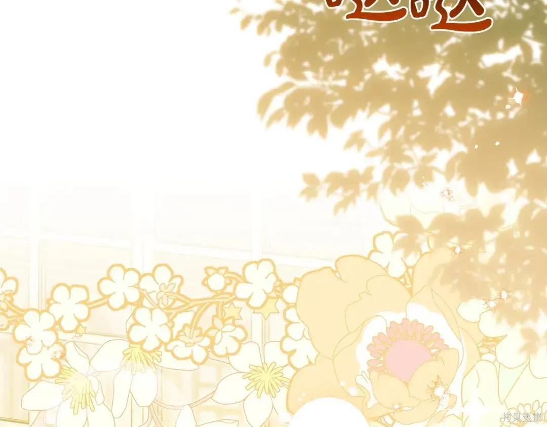 第 208 页