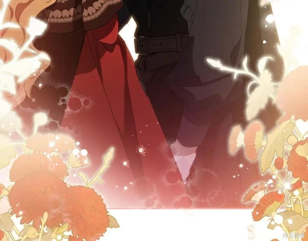 第 216 页