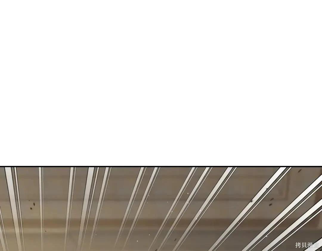 第 213 页
