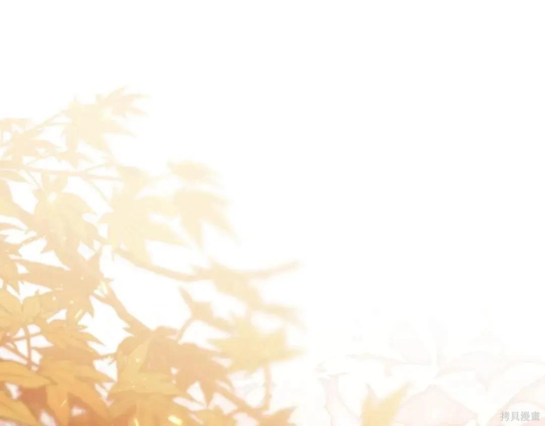 第 197 页