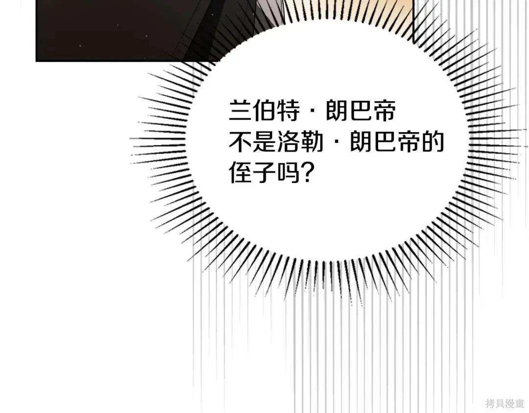 第 213 页