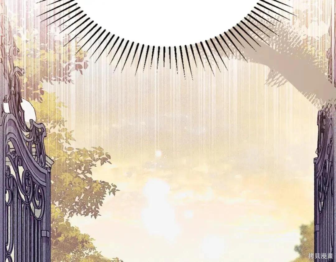 第 217 页