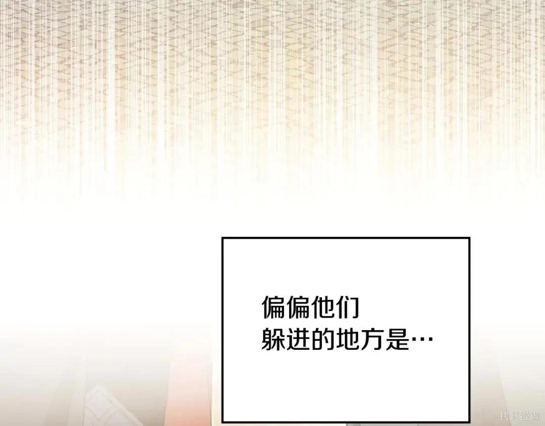 第 219 页