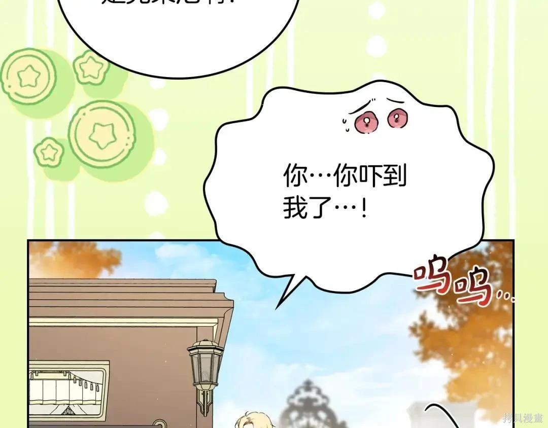 第 202 页