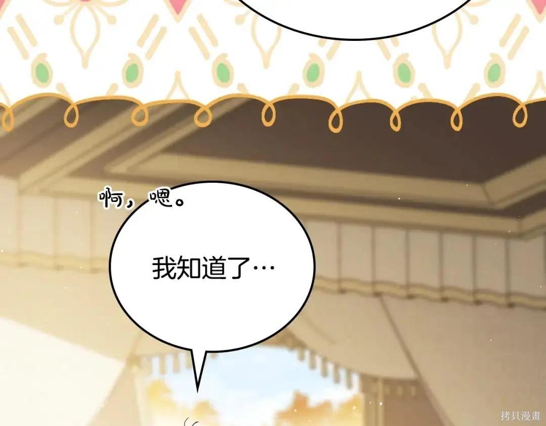 第 206 页