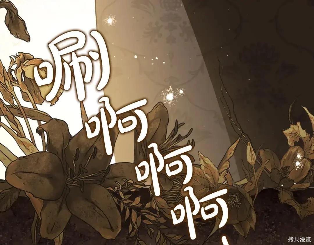 第 223 页