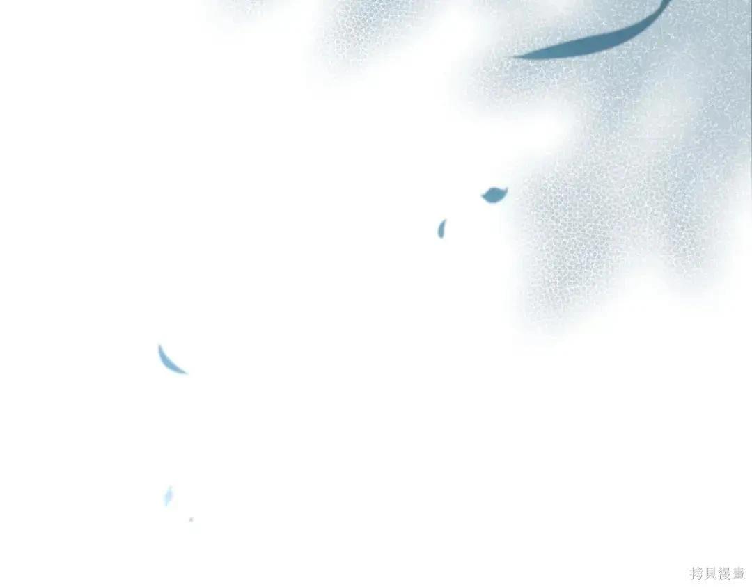 第 205 页