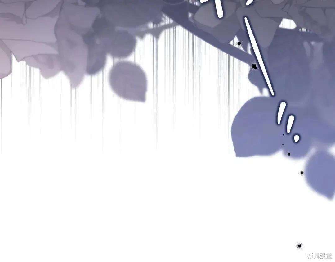 第 252 页