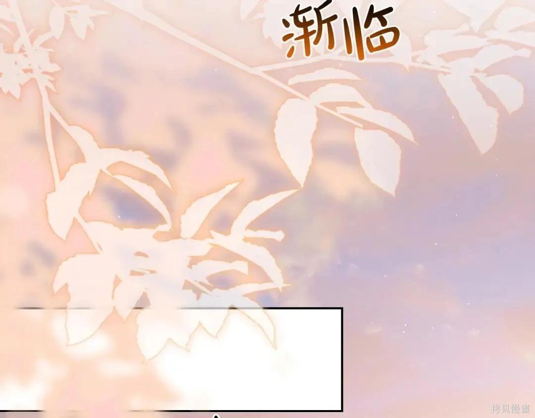 第 204 页