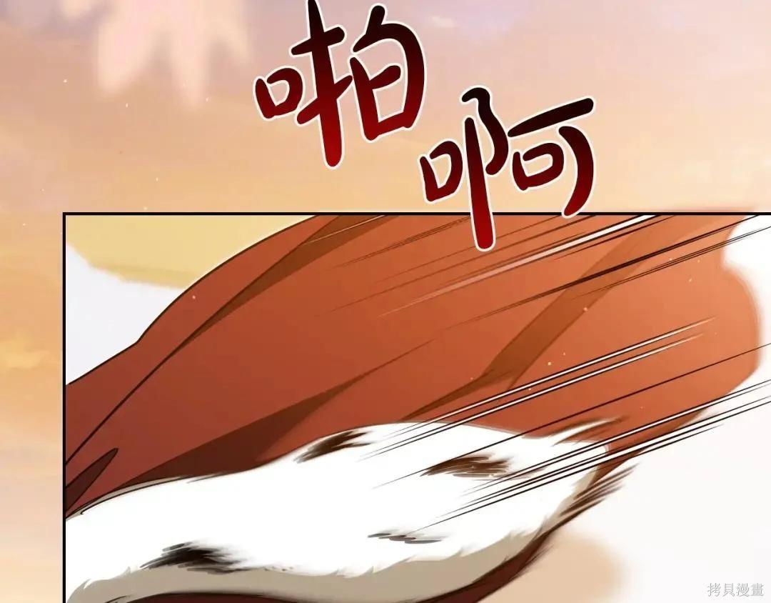 第 205 页