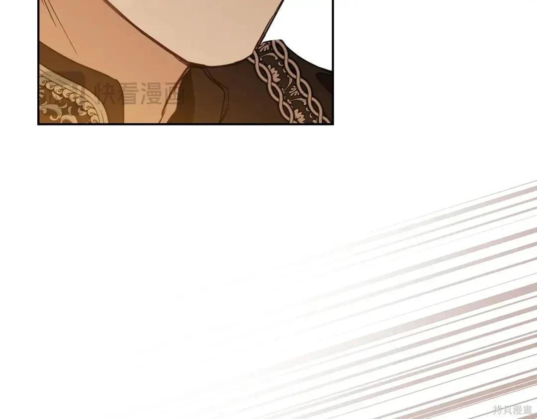 第 223 页