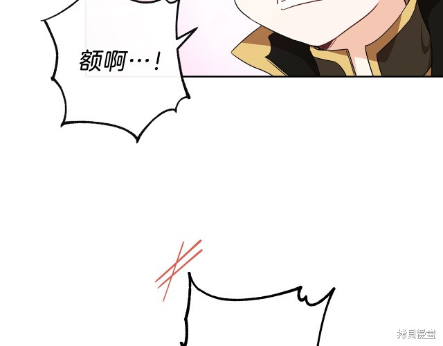 第 113 页