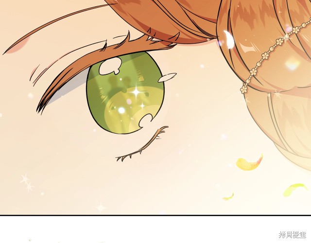 第 95 页
