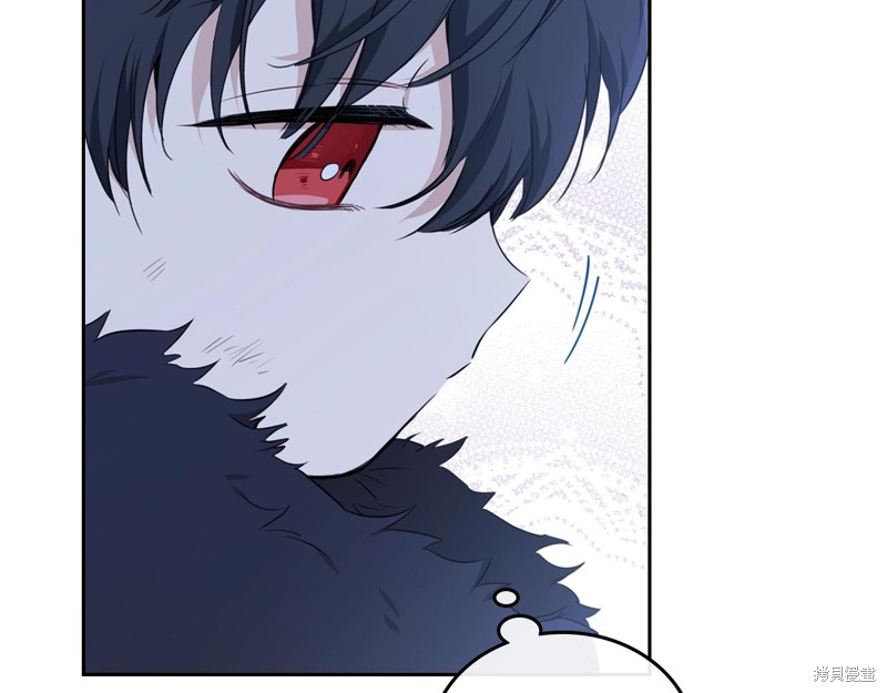 第 110 页