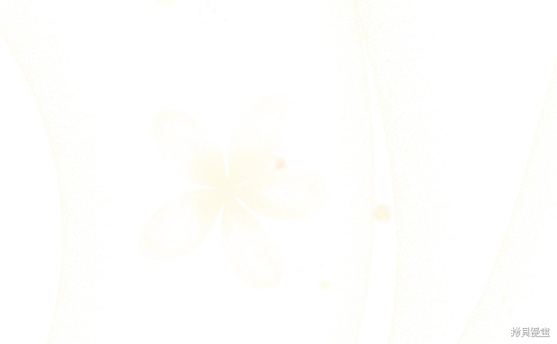 第 113 页