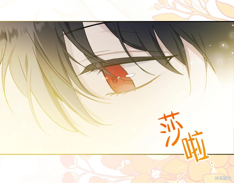 第 116 页
