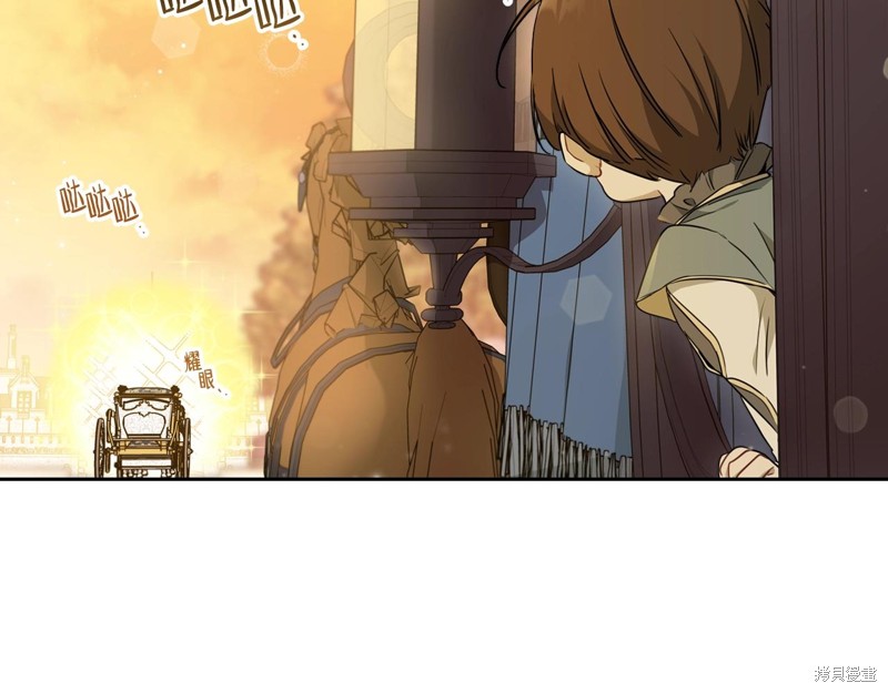 第 113 页