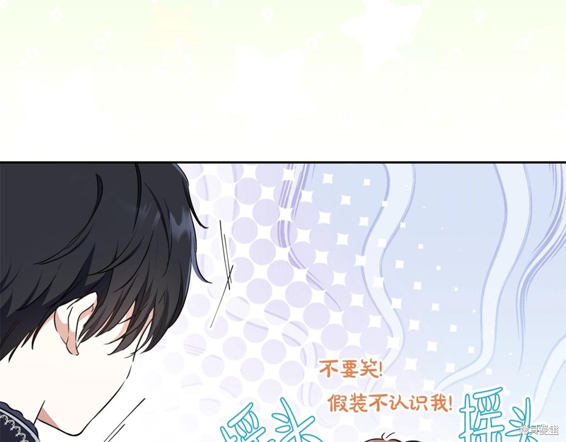 第 111 页