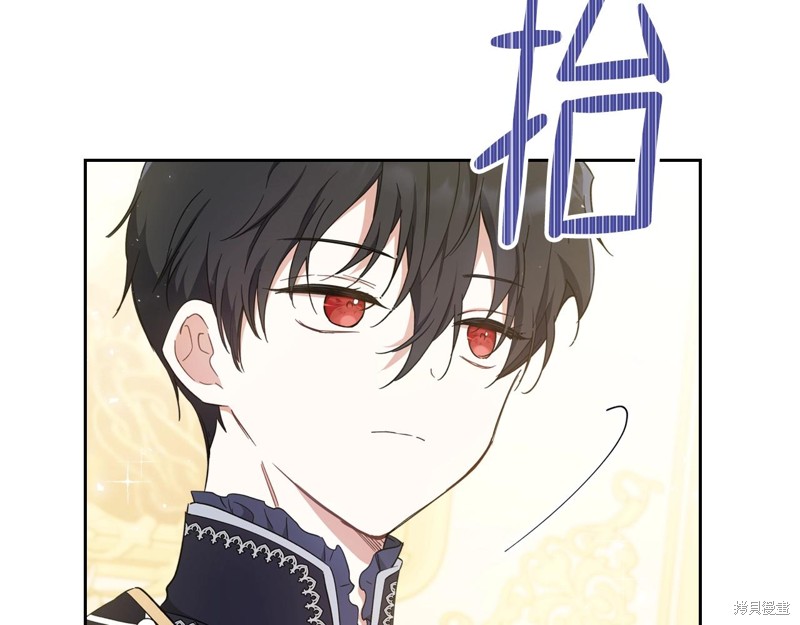 第 113 页