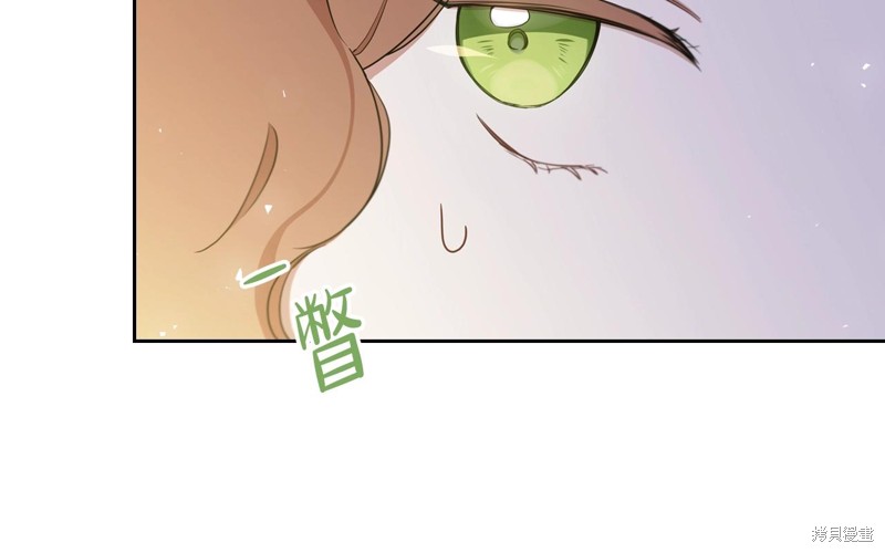 第 117 页