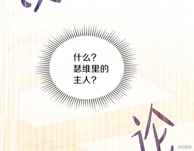 第 206 页