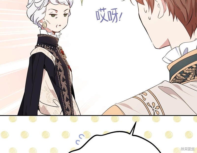 第 217 页