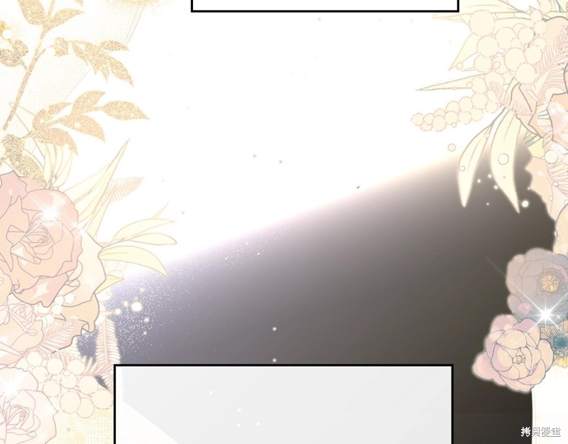第 102 页