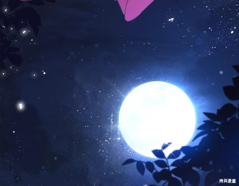 第 207 页