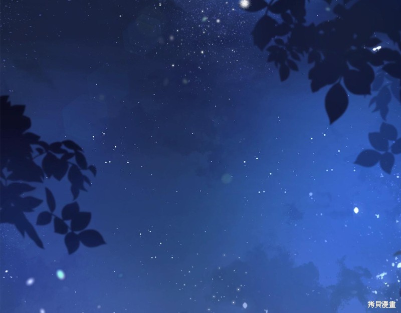 第 208 页