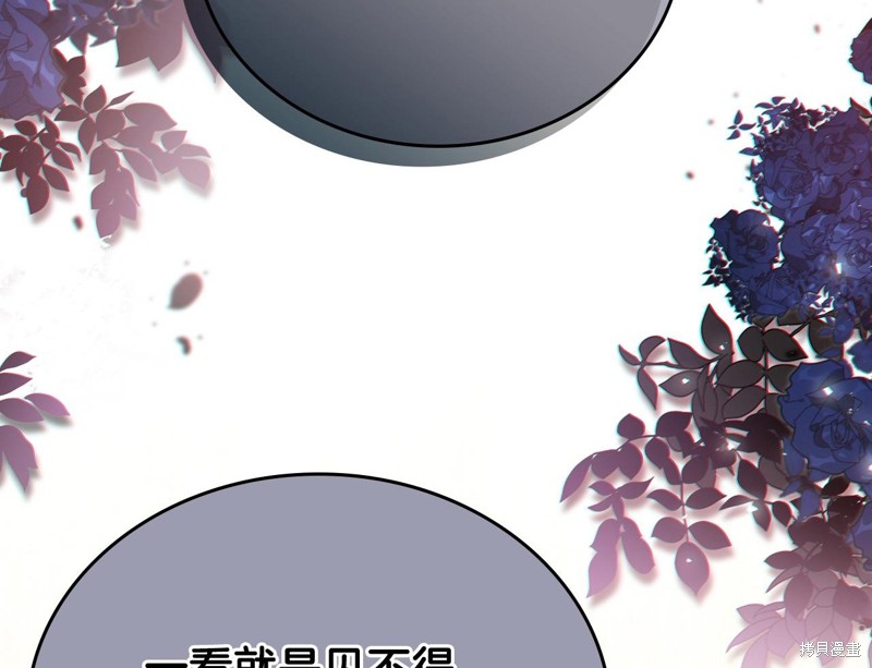 第 113 页