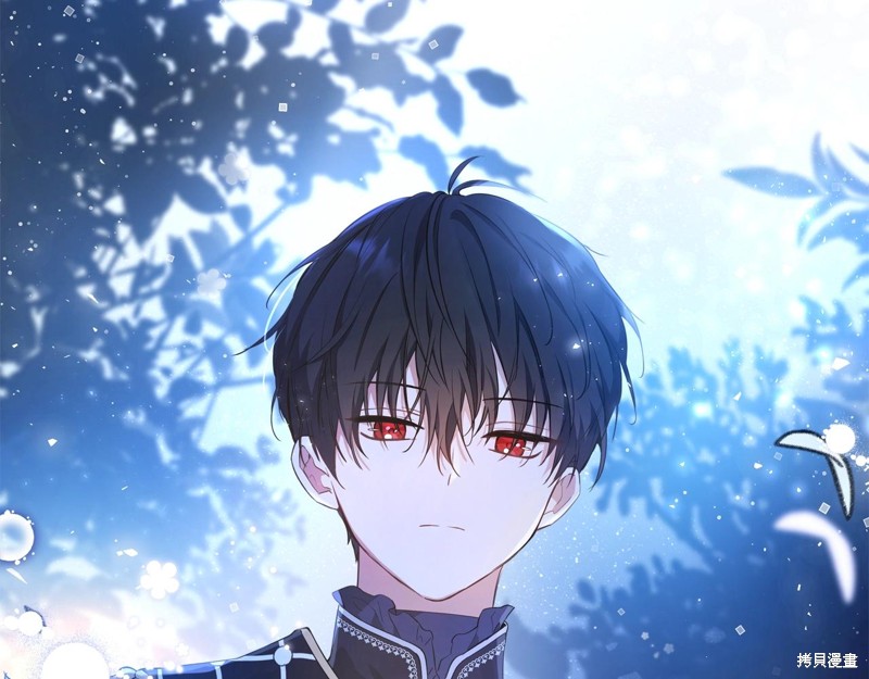 第 207 页