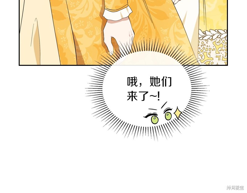第 146 页
