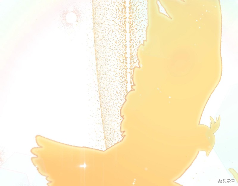 第 196 页