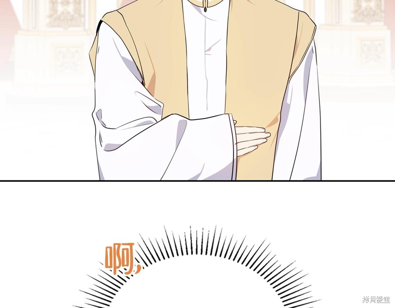 第 207 页